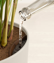 Load image into Gallery viewer, Natural Bamboo stand:all