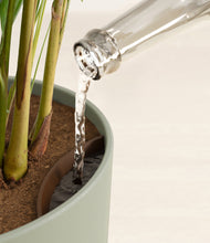 Load image into Gallery viewer, Sage Green stand:all