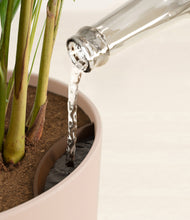 Load image into Gallery viewer, Sandy Pink stand:all