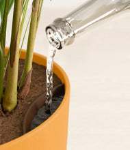 Load image into Gallery viewer, Sunset Orange stand:all