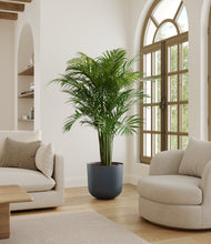 Load image into Gallery viewer, Iron Gray*****Profile