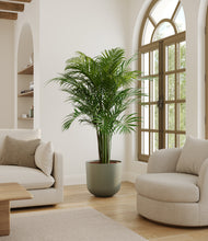 Load image into Gallery viewer, Sage Green*****Profile