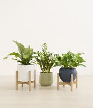 Load image into Gallery viewer, Earthy stand:two_stands