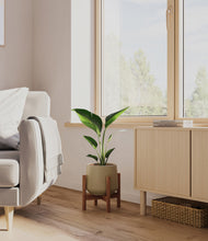 Load image into Gallery viewer, Olive stand:walnut