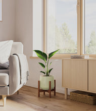 Load image into Gallery viewer, Turquoise stand:walnut