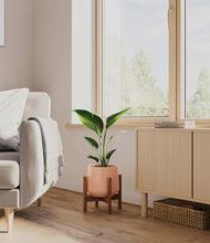 Load image into Gallery viewer, Calm Rose stand:walnut