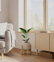 Load image into Gallery viewer, Eternal Gray stand:bamboo