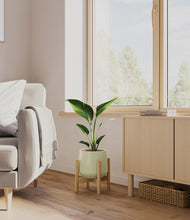 Load image into Gallery viewer, Turquoise stand:bamboo