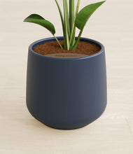 Load image into Gallery viewer, Deep Navy stand:all