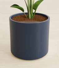 Load image into Gallery viewer, Deep Navy stand:all