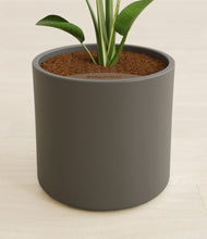 Load image into Gallery viewer, Dark Olive stand:all