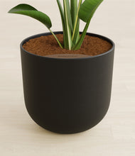 Load image into Gallery viewer, Stone Black stand:all