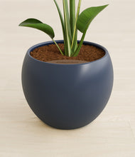 Load image into Gallery viewer, Deep Navy stand:all