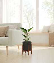 Load image into Gallery viewer, Black stand:walnut