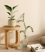 Load image into Gallery viewer, Almond Green