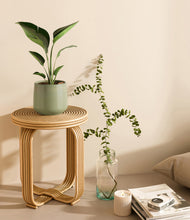 Load image into Gallery viewer, Turquoise