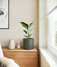 Load image into Gallery viewer, Dark Olive