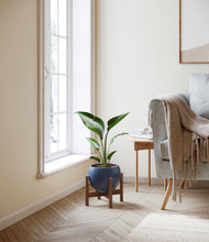 Load image into Gallery viewer, Deep Navy stand:walnut