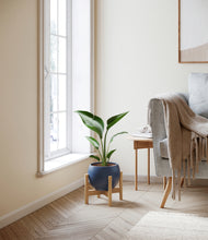 Load image into Gallery viewer, Deep Navy stand:bamboo