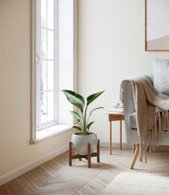 Load image into Gallery viewer, Deep Ocean stand:walnut