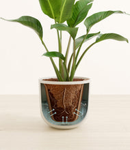 Load image into Gallery viewer, Natural Bamboo stand:all