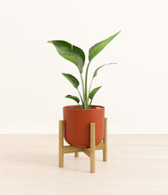 Load image into Gallery viewer, Earth Red stand:bamboo