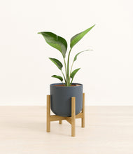 Load image into Gallery viewer, Iron Gray stand:bamboo