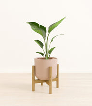Load image into Gallery viewer, Sandy Pink stand:bamboo