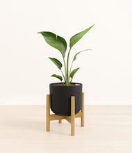 Load image into Gallery viewer, Stone Black stand:bamboo