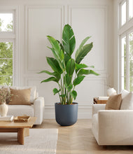 Load image into Gallery viewer, Iron Gray*****Profile