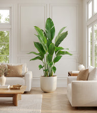 Load image into Gallery viewer, Natural Bamboo*****Profile