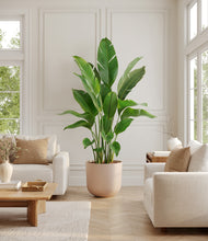 Load image into Gallery viewer, Sandy Pink*****Profile