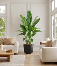 Load image into Gallery viewer, Stone Black*****Profile