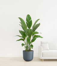 Load image into Gallery viewer, Iron Gray