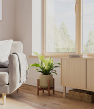 Load image into Gallery viewer, Olive stand:walnut