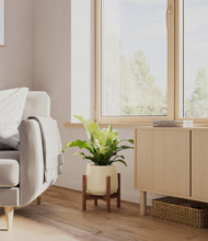 Load image into Gallery viewer, Almond Green stand:walnut