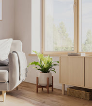 Load image into Gallery viewer, Eternal Gray stand:walnut