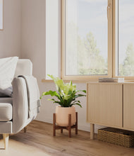 Load image into Gallery viewer, Gentle Pink stand:walnut