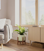 Load image into Gallery viewer, Turquoise stand:walnut