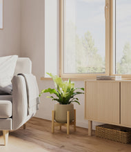 Load image into Gallery viewer, Olive stand:bamboo