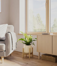 Load image into Gallery viewer, Almond Green stand:bamboo