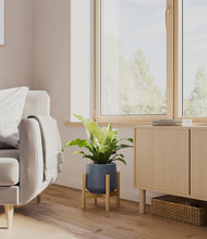 Load image into Gallery viewer, Deep Navy stand:bamboo