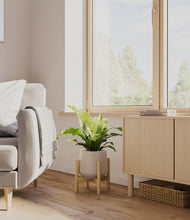 Load image into Gallery viewer, Eternal Gray stand:bamboo