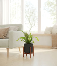 Load image into Gallery viewer, Black stand:walnut