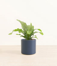 Load image into Gallery viewer, Deep Navy*****Profile