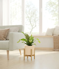 Load image into Gallery viewer, Cream stand:bamboo