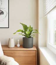 Load image into Gallery viewer, Dark Olive