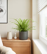 Load image into Gallery viewer, Dark Olive stand:all