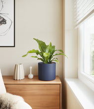 Load image into Gallery viewer, Deep Navy