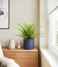 Load image into Gallery viewer, Deep Navy stand:all